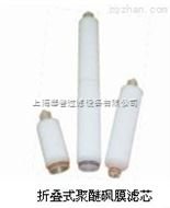 PP-10聚丙烯微孔折叠滤芯