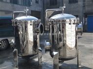 FY-3P2S+篮式DN150游泳池过滤器系统